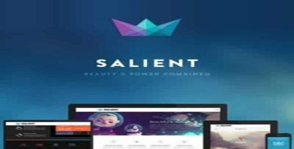 Salient Responsive Multi-Purpose Theme Salient - Responsive Multi-Purpose Theme