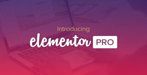 Elementor Pro WordPress Plugin Elementor Pro WordPress Plugin
